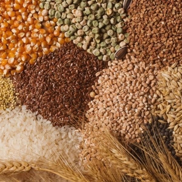 Grains